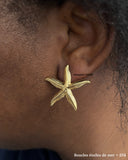 Boucles étoiles de mer