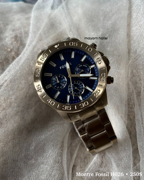 Montre Fossil H026