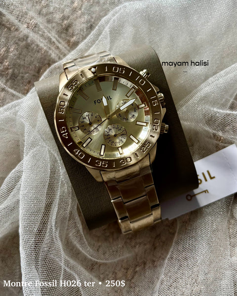 Montre Fossil H026 ter