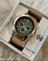 Montre CL Christian Lacroix H020